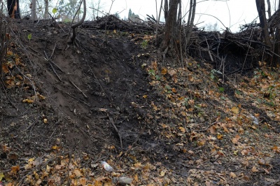 З’явилися світлини з пожежі на історичному кладовищі Чернівців (ФОТО)