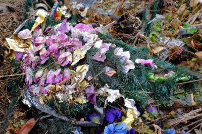 З’явилися світлини з пожежі на історичному кладовищі Чернівців (ФОТО)