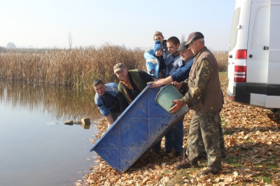 На Буковині самі рибалки зарибнили ставок