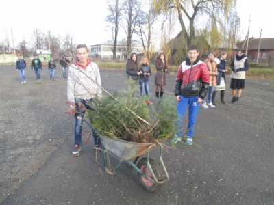 Буковинські школярі до річниці Майдану посадили ліс (ФОТО)