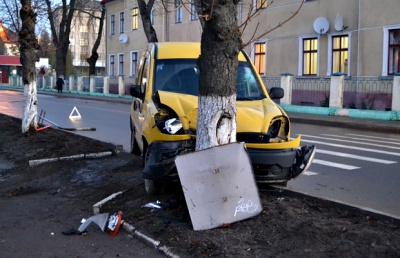 На Буковині жінка на "Рено Кенгу" в’їхала в дерево