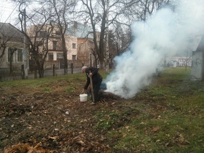 У Чернівцях оштрафували завгоспа пологового будинку за спалювання листя