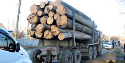 У Сторожинці затримали дві вантажівки з необробленим лісом (ФОТО)