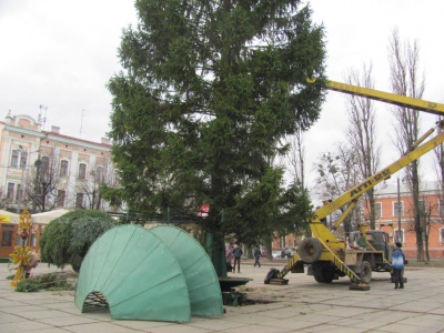 Новорічна ялинка у Чернівцях буде золотисто-червона (ФОТО)