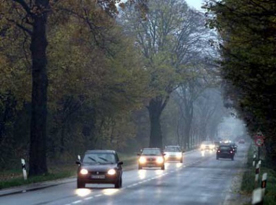 В Україні відкрили базу даних усіх власників автомобілів