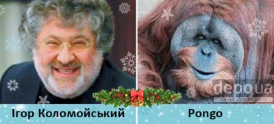 ЗМІ показали фото мавп, на яких схожі Яценюк, Тимошенко та інші політики (ФОТО)