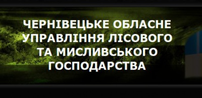 Лісівники Буковини отримали нового начальника