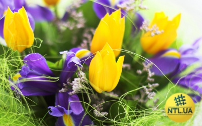 ТМ "НатаЛюкс" вітає дорогих буковинок зі святом Весни! (на правах реклами)