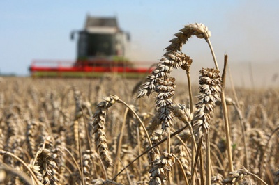 МВФ вимагає скасувати спецрежим ПДВ для українських аграріїв