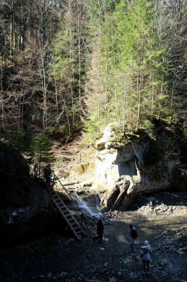 Водоспад на Буковині значно зменшився після вивезення через нього лісу (ФОТО)