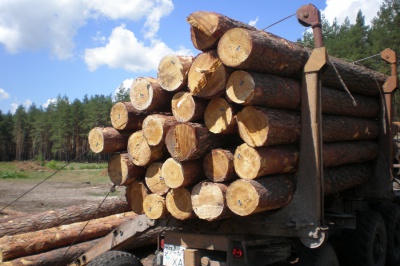 Уряд хоче скасувати мораторій на експорт необробленої деревини