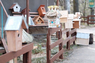 Юні чернівчани презентували шпаківні на конкурсі у Фан-парку (ФОТО)