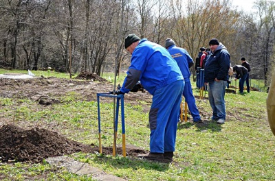 У Чернівцях висадили дубочки у пам’ять про загиблих героїв АТО (ФОТО)