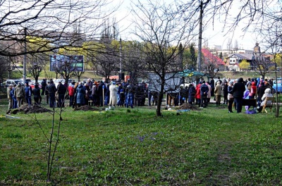 У Чернівцях висадили дубочки у пам’ять про загиблих героїв АТО (ФОТО)