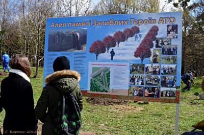 У Чернівцях висадили дубочки у пам’ять про загиблих героїв АТО (ФОТО)