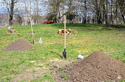 У Чернівцях висадили дубочки у пам’ять про загиблих героїв АТО (ФОТО)