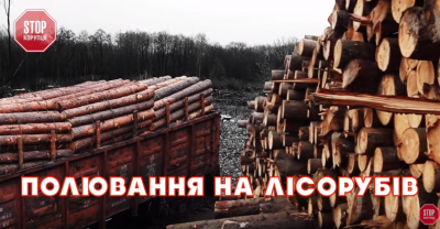 Активісти з Чернівців викрили вражаючі масштаби нищення лісів Карпат (ВІДЕО)