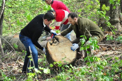 У Чернівцях нардеп Бурбак з чиновниками прибрали парк і відвантажили дрова учаснику АТО (ФОТО)