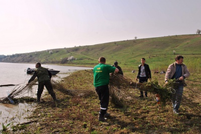 Волонтери зі Львова та Одеси зв’язали для Дністра нерестові гнізда (ФОТО)