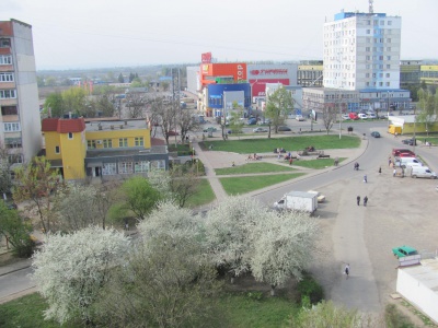 У Чернівцях у шкільному дендропарку буяє весна (ФОТО)