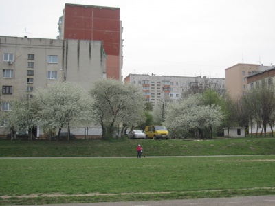 У Чернівцях у шкільному дендропарку буяє весна (ФОТО)