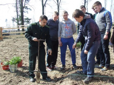 На Буковині створили 32 гектари лісів (ФОТО)