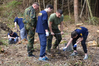 На Буковині створили 32 гектари лісів (ФОТО)