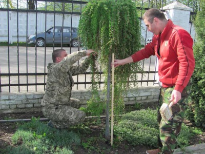 На Буковині створили 32 гектари лісів (ФОТО)