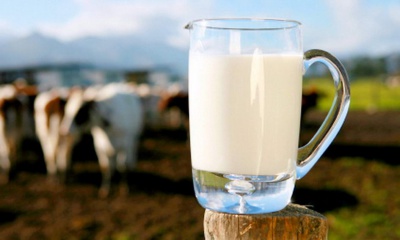 Буковина — аутсайдер в Україні з виробництва молока