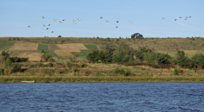 Маловідомі пам’ятки природи на Буковині: печера, що заворожує іноземців, і житло чапель (ФОТО)