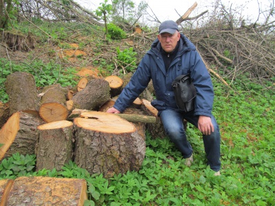 На історичному цвинтарі на Буковині вирубали дерева і пошкодили віковічні хрести