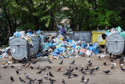 Через борги депутата міськради мікрорайон у Чернівцях потонув у смітті (ФОТО)