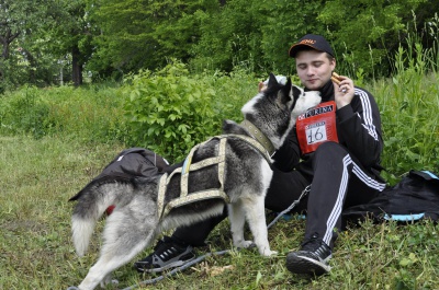 У Чернівцях на змаганнях господарі бігали зі своїми собаками (ФОТО, ВІДЕО)