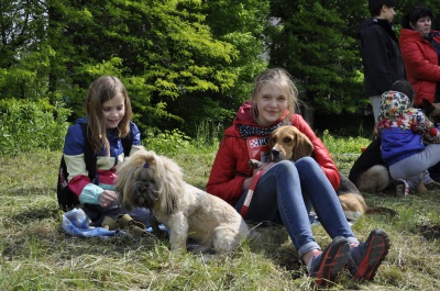 У Чернівцях на змаганнях господарі бігали зі своїми собаками (ФОТО, ВІДЕО)