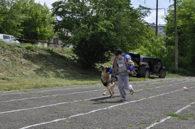 У Чернівцях на змаганнях господарі бігали зі своїми собаками (ФОТО, ВІДЕО)