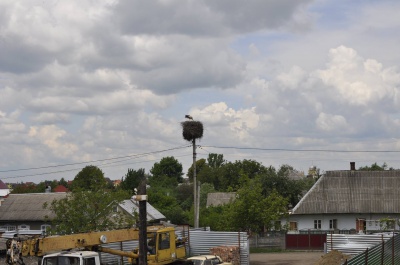 У Чернівцях будівництво нового дитсадка у розпалі (ФОТО)