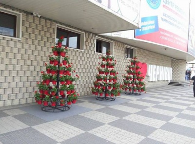 Поруч з вивіскою "Люблю Чернівці" біля "Формаркету" встановили квіткові піраміди (ФОТО)