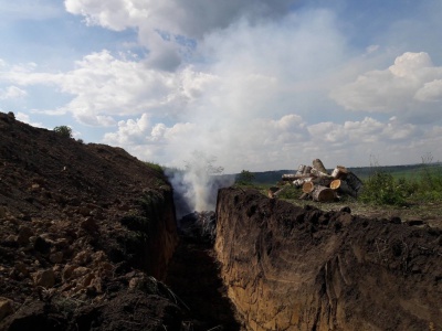 На Новоселиччині спалюють свиней