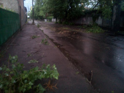 Через сильну зливу в Чернівцях прорвало каналізації і поламало дерева