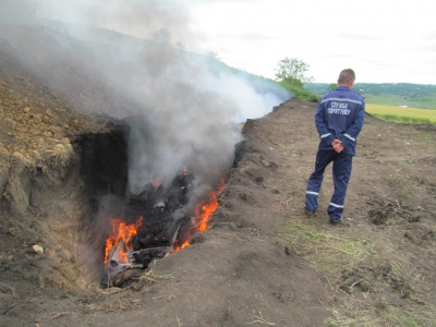 "Дивитися на це важко - тут знищили 2000 свиней". Репортаж із села на Буковині, де введено карантин