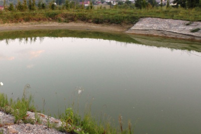 Пішов під воду і не зміг виплисти: на Буковині у ставку потонув чоловік