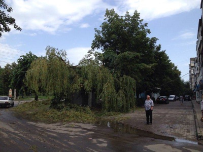 У Чернівцях нічний буревій наробив лиха: дерево впало на газетний кіоск (ФОТО)