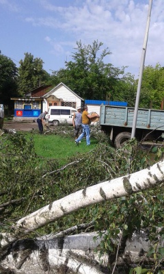 Буревій на Буковині обірвав електромережі та зірвав дахи (ФОТО)