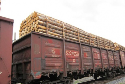На експорт іде лише деревина, яка не має попиту в Україні, - лісівники Буковини