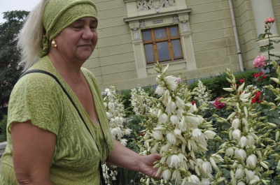 У Чернівцях розцвіли "джинсові дерева" (ФОТО)