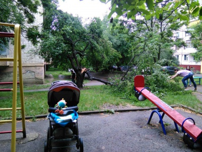 У Чернівцях після зливи на дитячому майданчику впала гілляка (ФОТО)