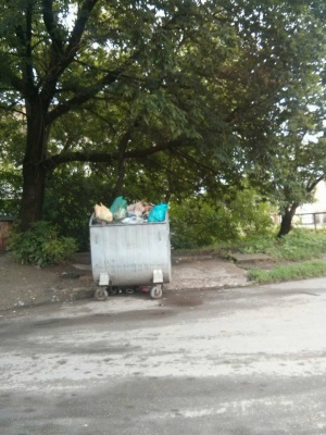 У Чернівцях на свята знову переповнені сміттєві контейнери (ФОТО)