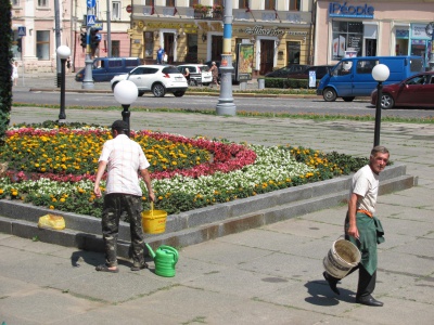 У Чернівцях на поливання клумб витрачають 18 кубометрів води щодня