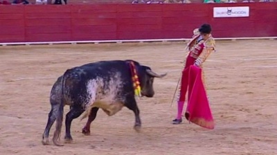 В Іспанії на кориді бик убив матадора