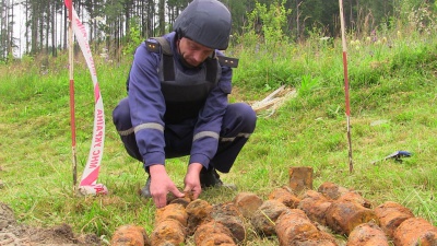 На городі на Буковині знайшли 50 протипіхотних мін (ФОТО)